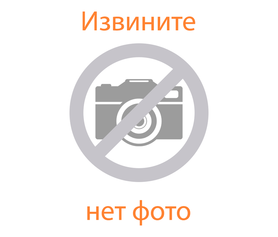 Шенгальц Алина Дмитриевна.